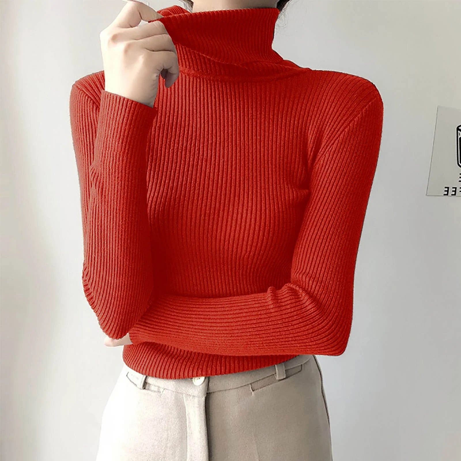 Long Sleeve Turtleneck Solid Color