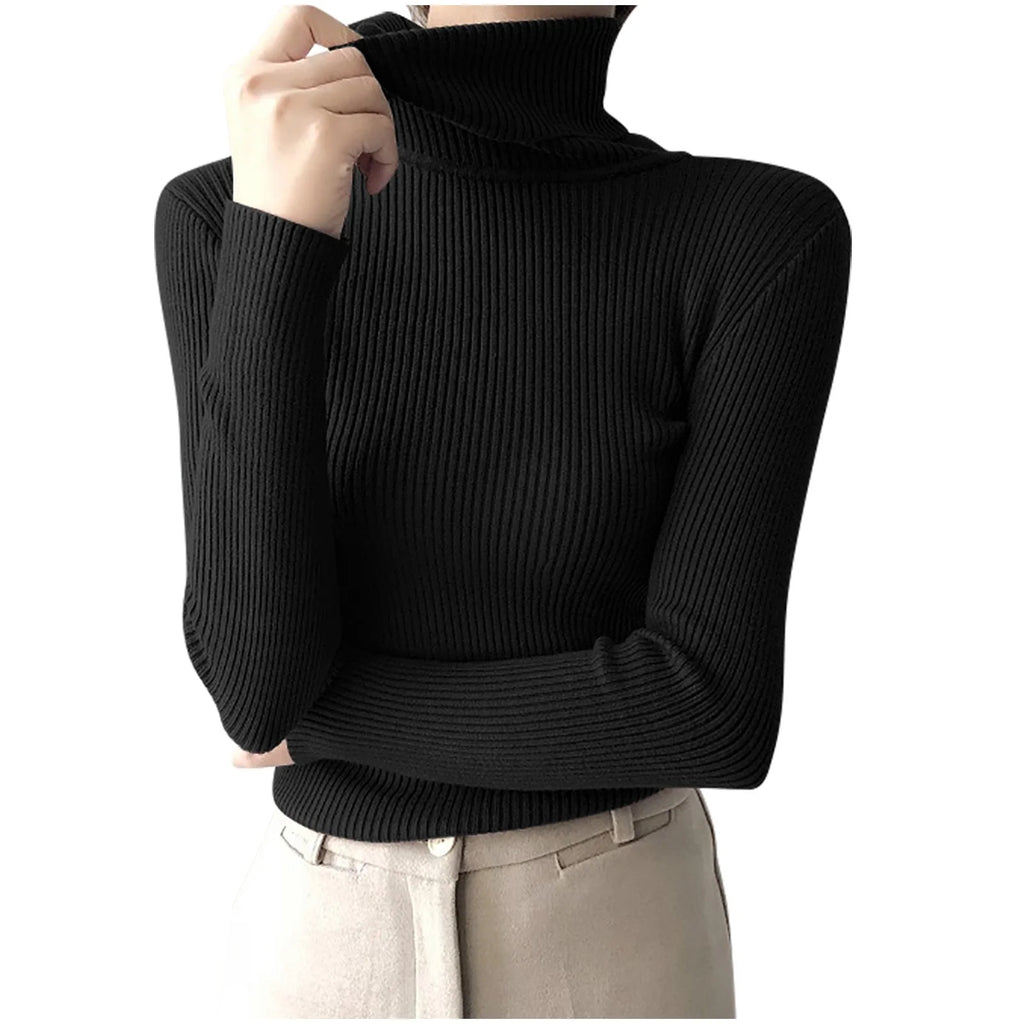 Long Sleeve Turtleneck Solid Color