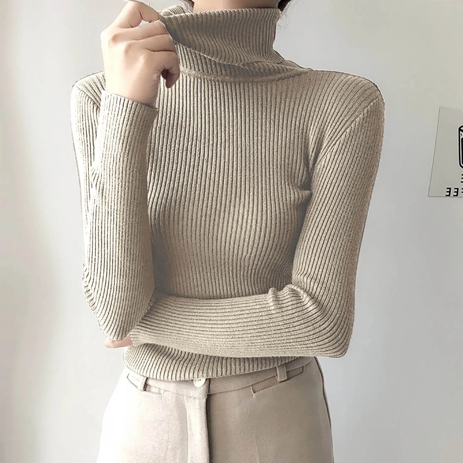 Long Sleeve Turtleneck Solid Color