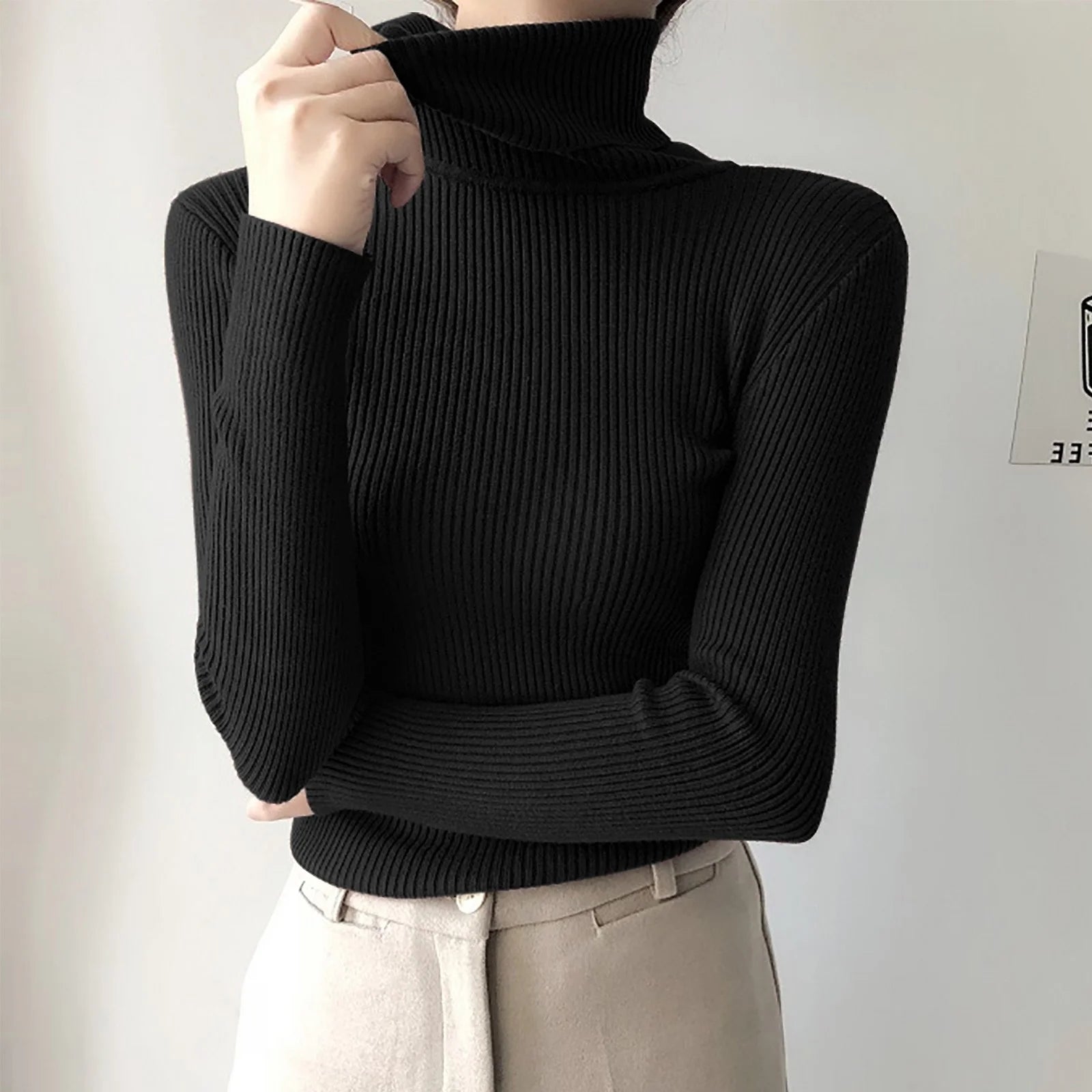 Long Sleeve Turtleneck Solid Color