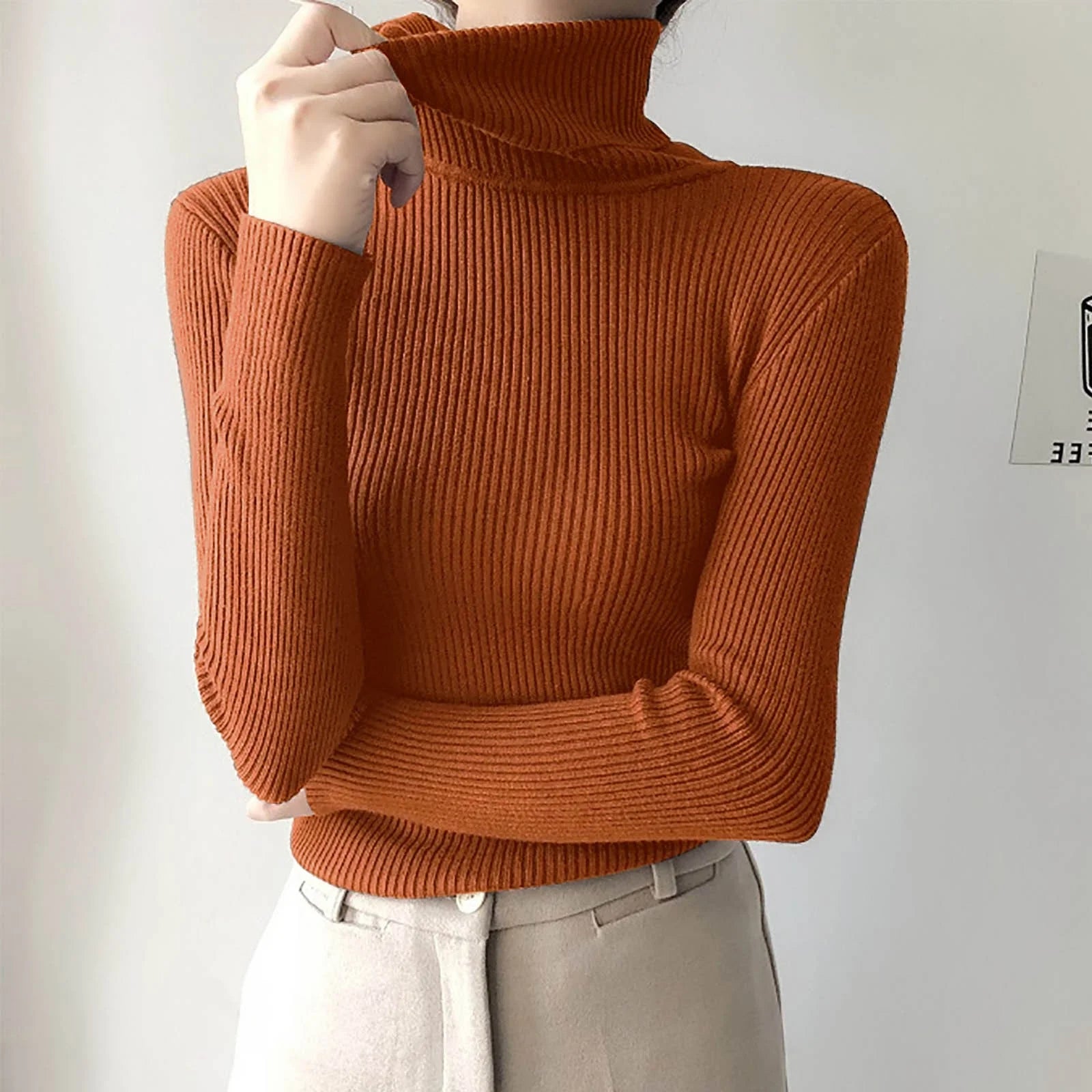 Long Sleeve Turtleneck Solid Color
