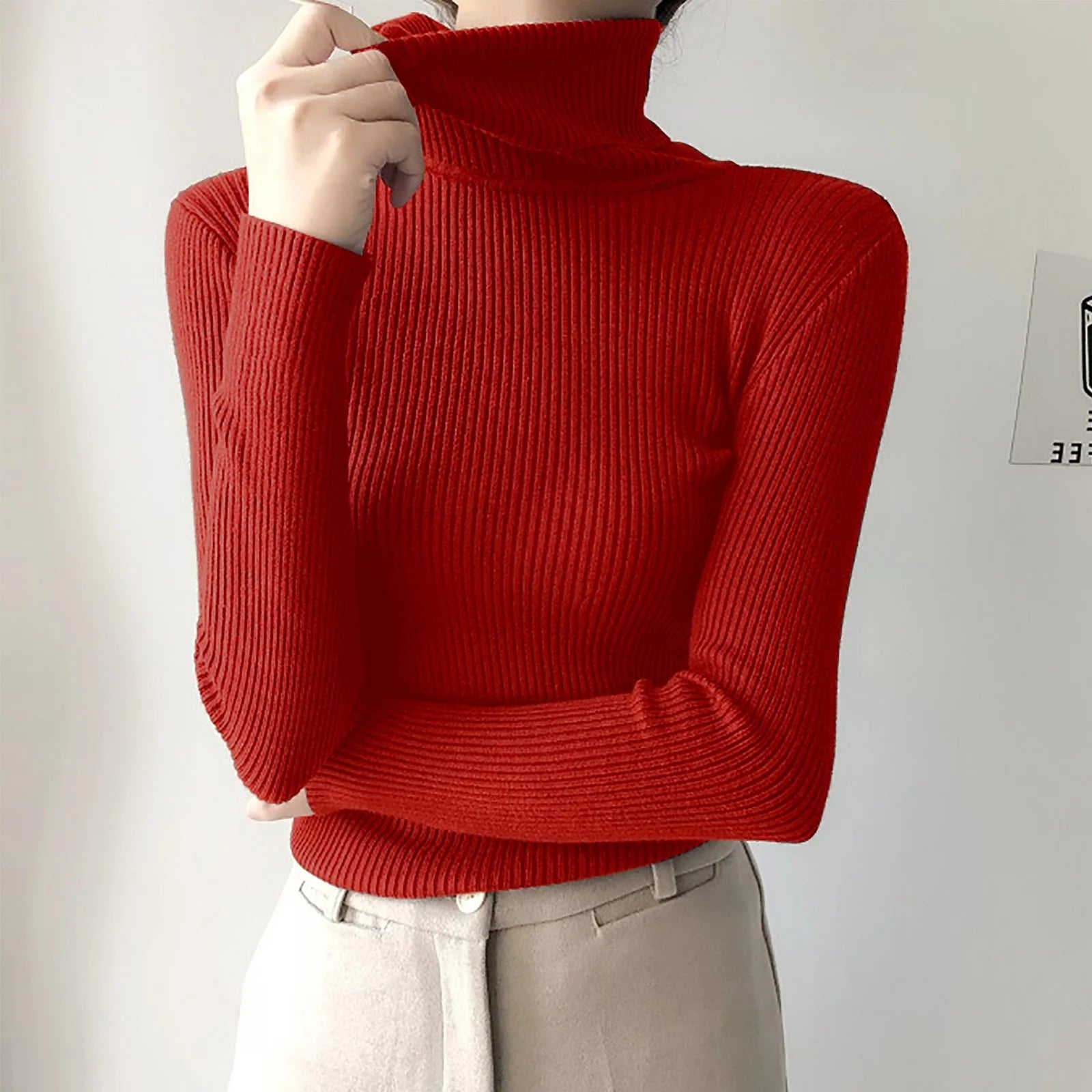 Long Sleeve Turtleneck Solid Color
