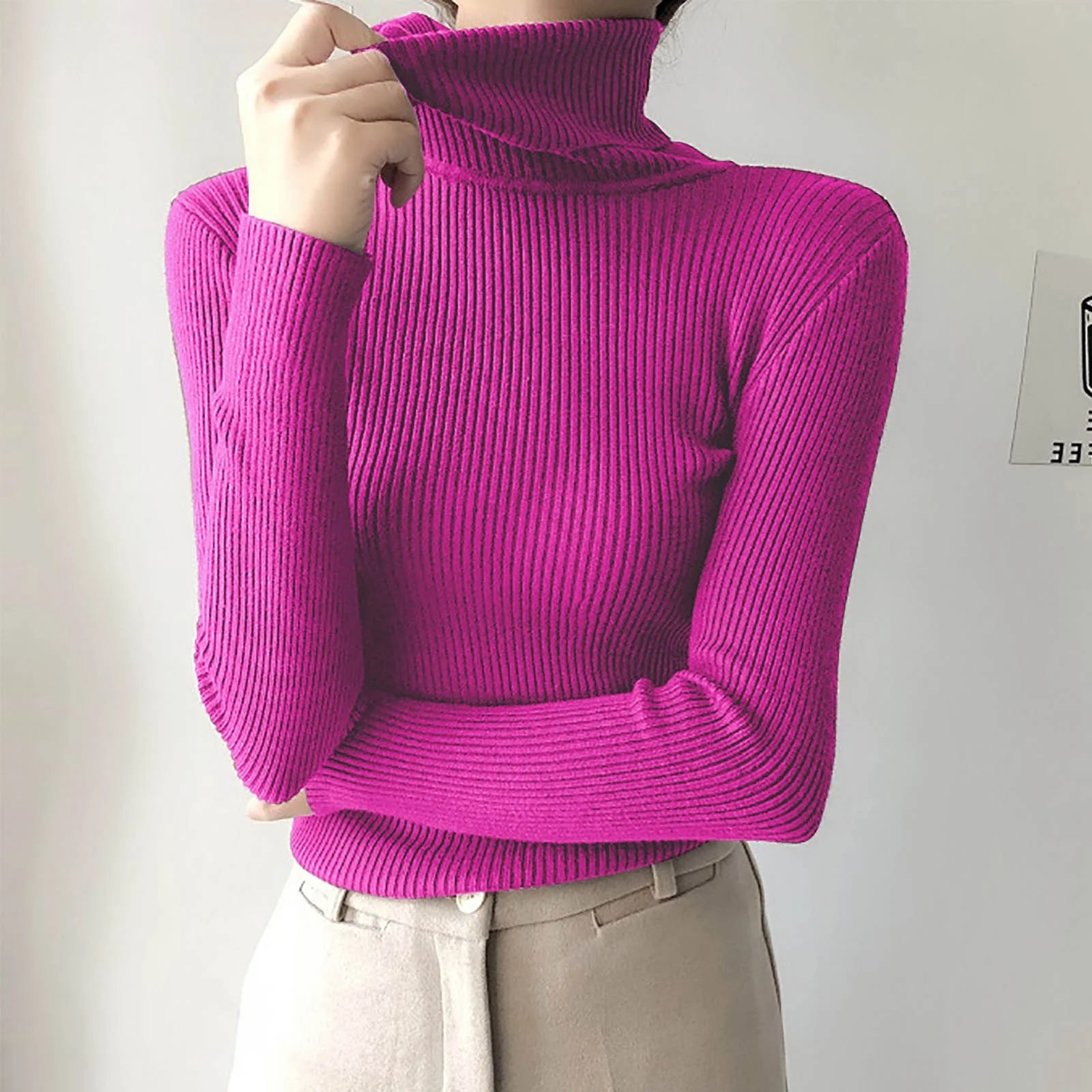 Long Sleeve Turtleneck Solid Color